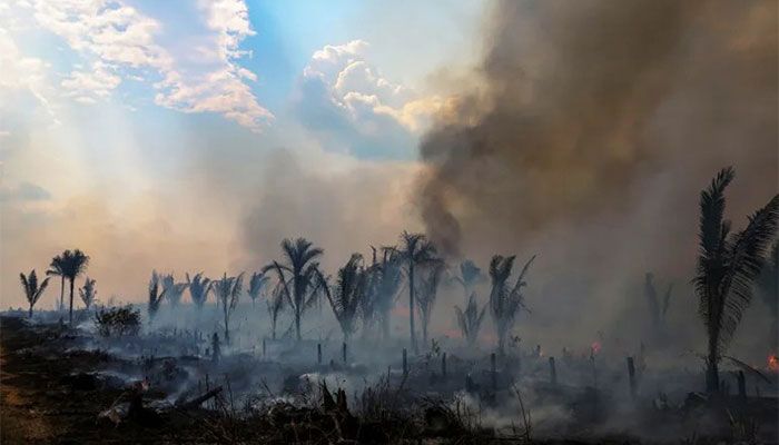 Record Deforestation in Brazilian Amazon in February  