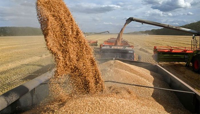 Russia, UN Set for Ukraine Grain Deal Renewal Talks