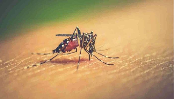 5 More Dengue Patients Hospitalised in 24 Hrs  