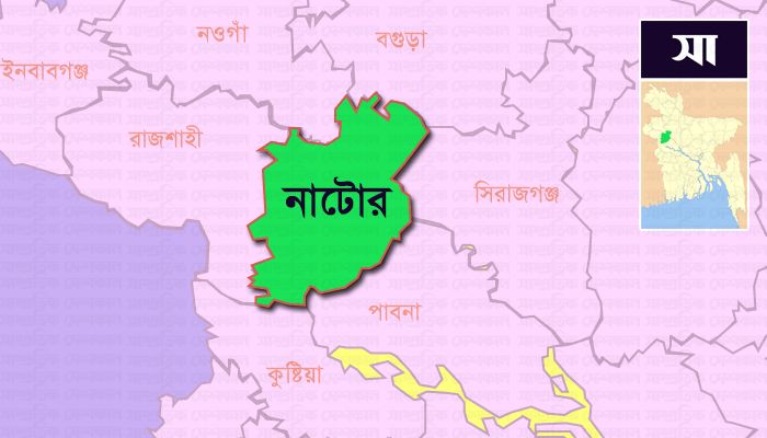 Natore District Map