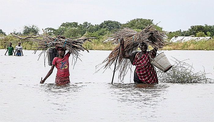In Flood-Hit South Sudan, Women Harness Power of Plants  