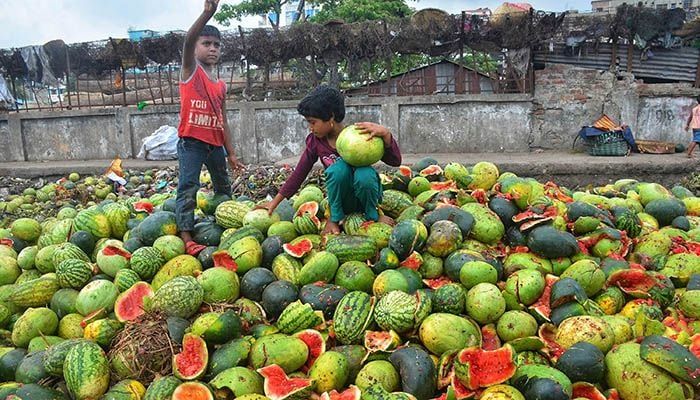 Rotten Watermelons Dumped on Road