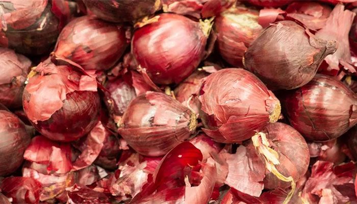 Decision On Onion Import in 2-3 Days: Agriculture Minister 