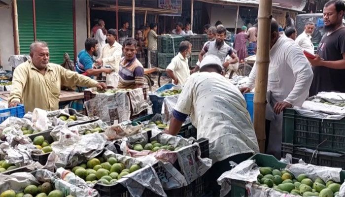 Mango Growers, Traders in Chuadanga Disheartened by Low Price  