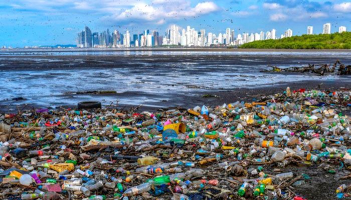 Coming Years 'Critical' to Slash Plastic Pollution: UN 