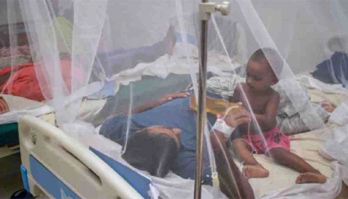 Dengue Cases Surge: 67 Cases Reported In a Day  