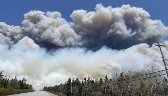 Canada Sees Record CO2 Emissions from Fires So Far This Year