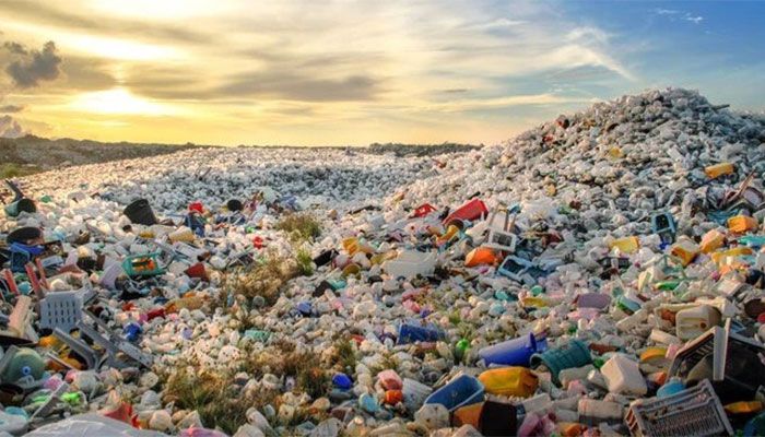 Plastic Pollution: Harmful Effects On Human Health And Environment 