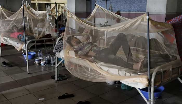 This Year’s Dengue Death Toll Rises to 67 with Two Deaths in 24 Hrs 