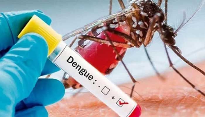 Ensure Free Dengue Testing And Treatment: GM Quader 
