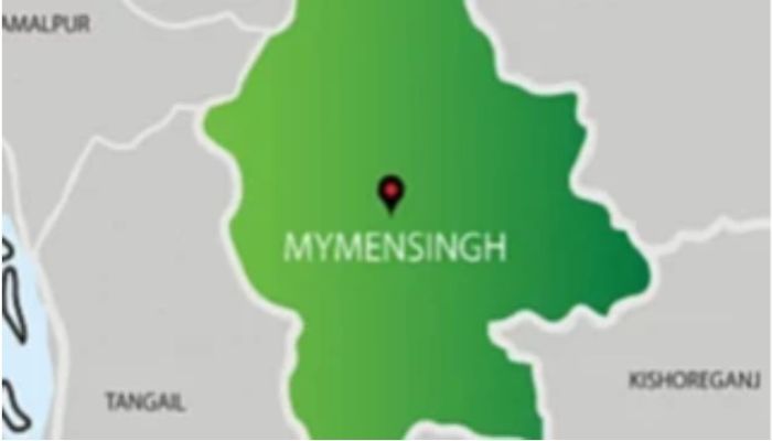 Woman killed by ‘drug addict’ son in Mymensingh