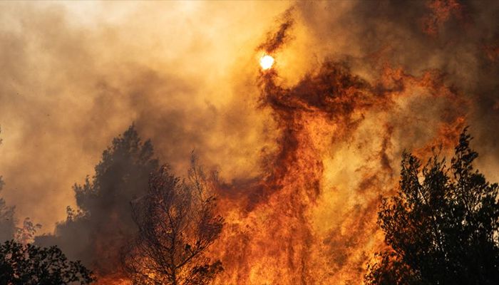 A wildfire burns trees in Agia Sotira, a western suburb of Athens, Greece.