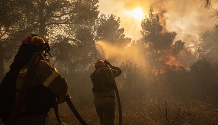 Western Athens Remains Devastated by Wildfires