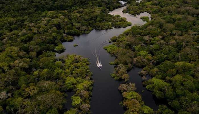 Amazon Neighbors Race to Save World's Biggest Rainforest  