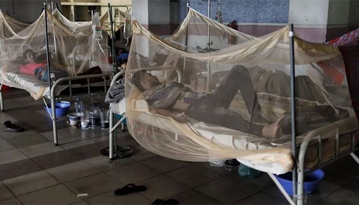 Bangladesh Logs 2 More Dengue Deaths, 509 New Cases  