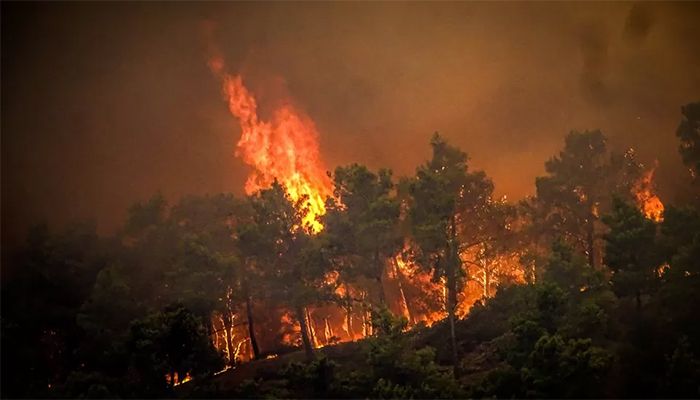 Thousands Flee Homes as Wildfires Rage on Greek Island of Rhodes