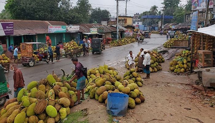 Various markets in Khagrachari are packed with jackfruit. 