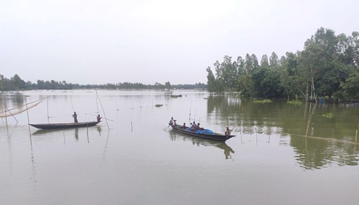 650 Ponds Got Wiped Out in Kurigram Flood