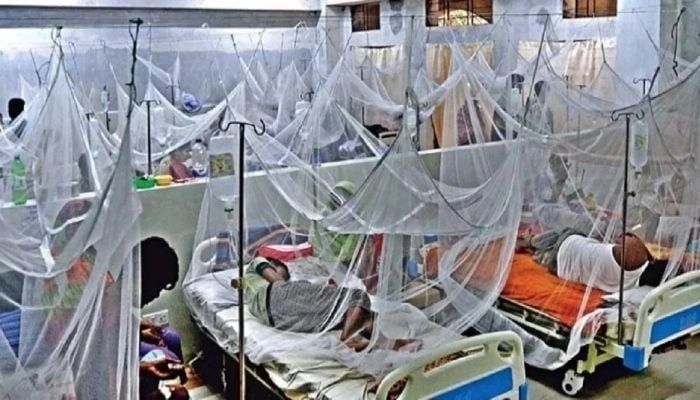 Dengue infected death toll near to reach 600 this year 