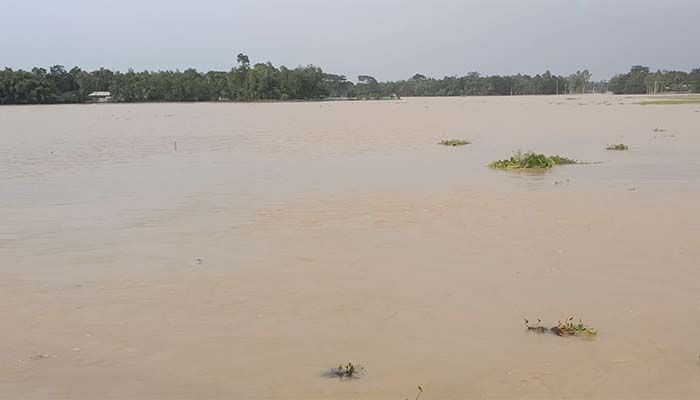 Thousand hectares of plantations have been washed away 