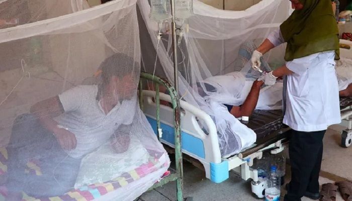 12 people died of dengue