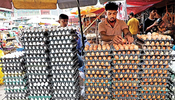 Egg Prices Jump High as Each Sells for Tk15