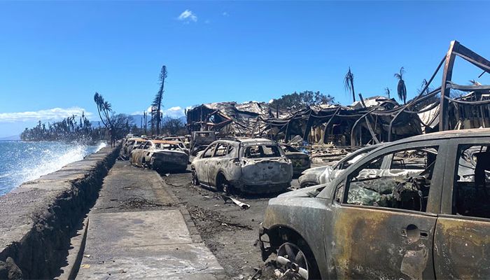 Hawaii Wildfire Death Toll Climbs to 89