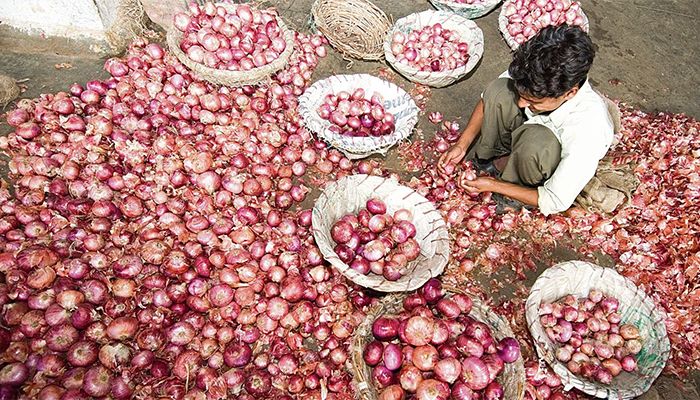 Onions Price Rose By 70pc in One Month
