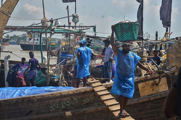 Now fishermen, fishmongers, trawler owners, and workers are having a busy time.