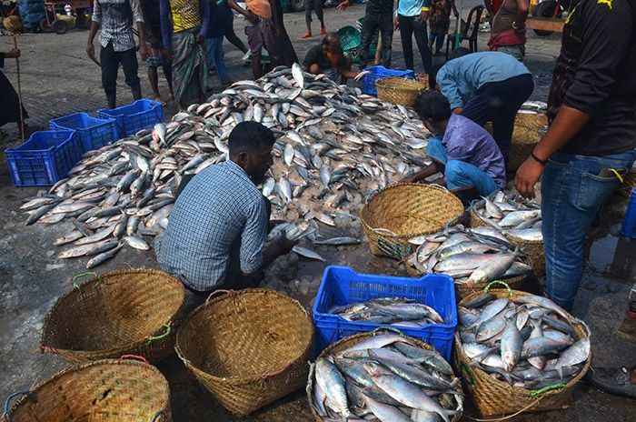 Low and middle-income people cannot buy hilsa fish at this price.