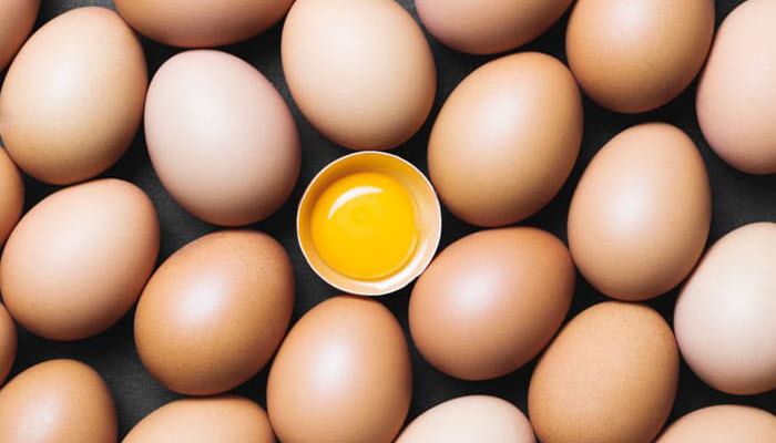 Govt Approves Import Of 4 Crore Eggs From India