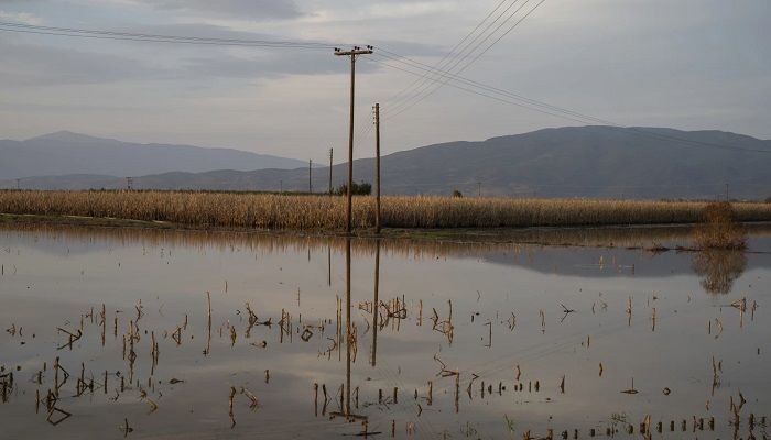 Flooded fields with corn on the outskirts of Armenio village, near Volos, Greece || Photo: AP