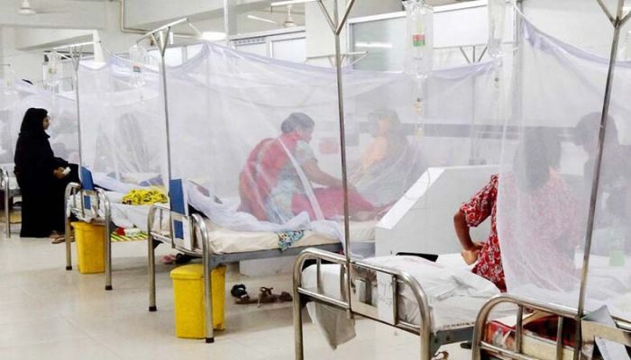 Dengue Death Toll Crosses 700 Mark