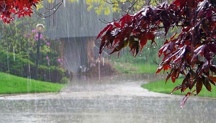 Rainfall has increased across the country || Representational Image 