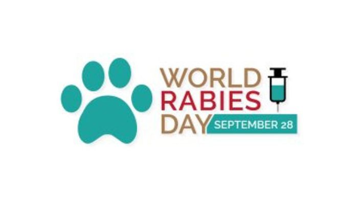 Some Important Things You Need To Know About Rabies