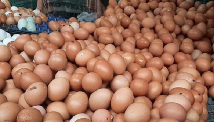 Govt To Import 5 Crore More Eggs