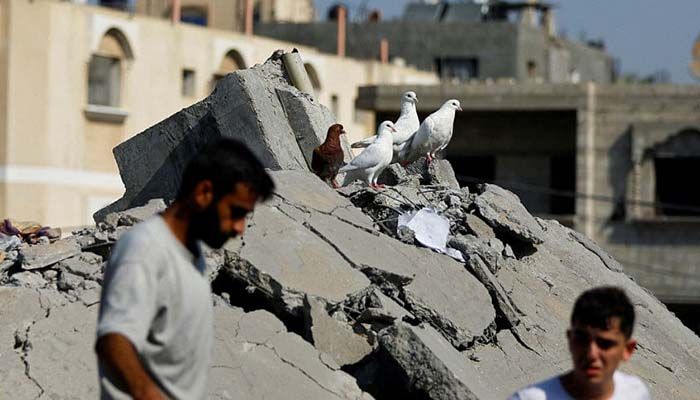 Birds perch on rubble as Palestinians look for casualties following an Israeli strike on a house, in Khan Younis, in the southern Gaza Strip, October 25, 2023 || Photo: REUTERS