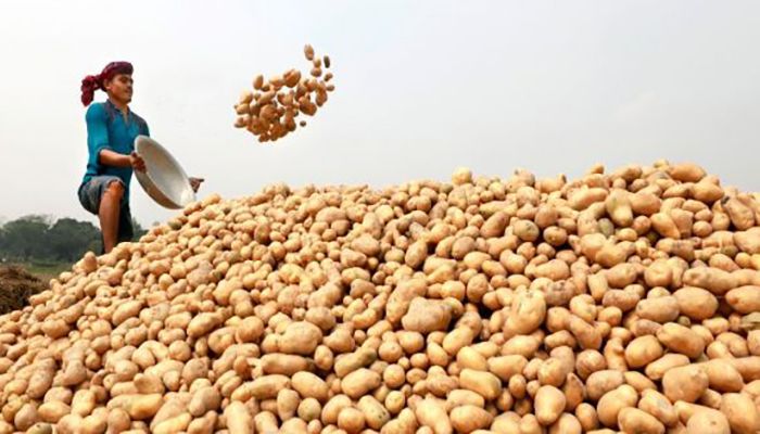 Govt Permits Potato Import