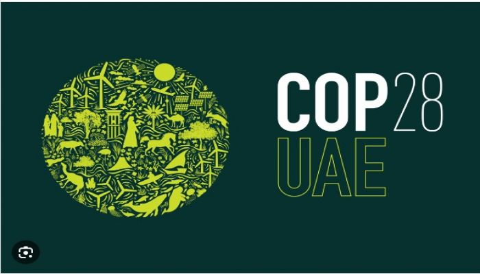 COP-28: Guidelines of Participants 