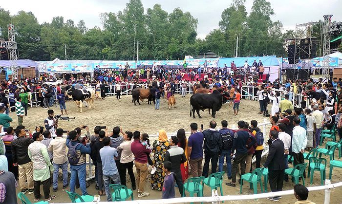 Farmers have seen domestic and foreign breeds of cattle including Brahma, RCC, North Bengal Grey, Shahiwal, Caesarian, Bhutti at the fair.