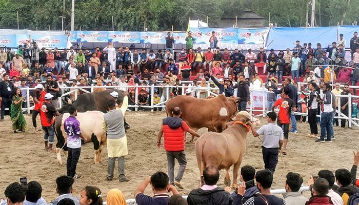 The attraction of buyers and visitors at the fair ground was around the Austral cow weighing 1,400 kg.