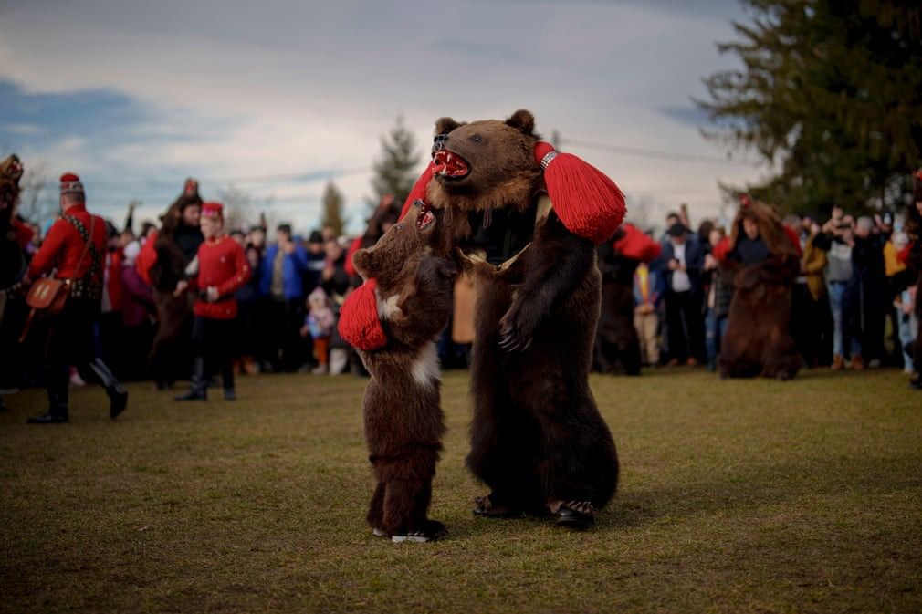 (Racova, Romania) Members of the Sipoteni pack, wearing bear costumes, perform for villagers in Racova. The tradition originates from the pre-Christian era, when dancers wearing coloured costumes or animal furs toured from house to house in villages singing and dancing to ward off evil || Photograph: Vadim Ghirdă/AP