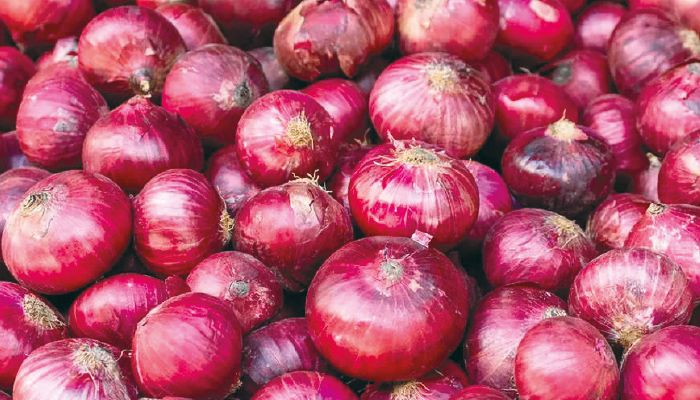 India Bans Onion Export Until March 31