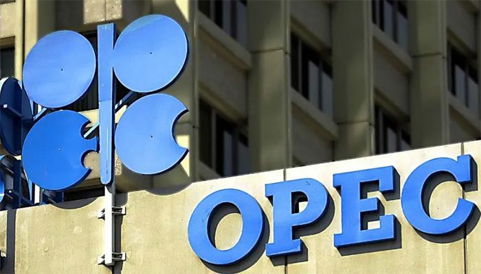 OPEC Push On Fossil Fuels Draws Ire At Climate Talks