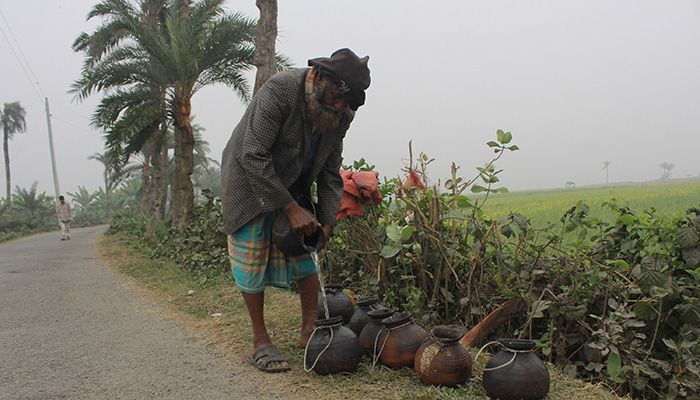 Before the morning sun rises, the Gachhirs bring down earthen pots full of sap from the date palm trees.