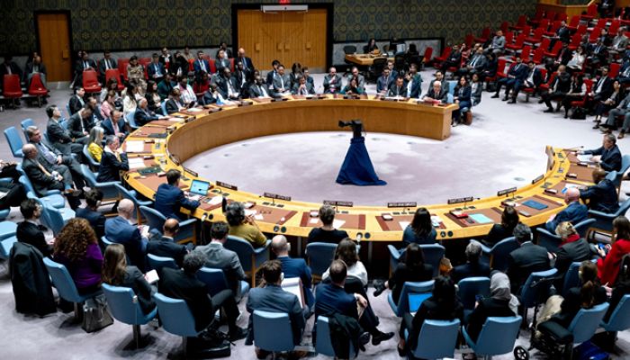 UN Security Council Meeting. Photo: Collected