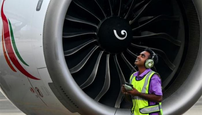Rat On A Plane Sparks Worries For Sri Lanka's Airline