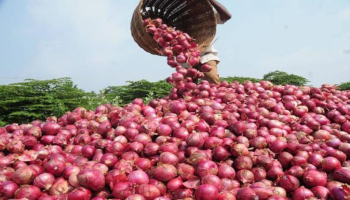 India To Export 50,000 Tonnes Of Onion To Bangladesh