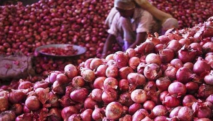 Onions Price Increased Countrywide. Photo: Collected