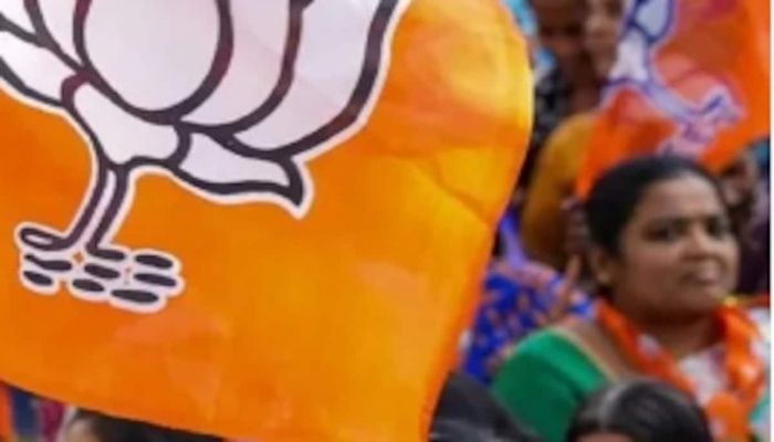 BJP Announced Candidates Name For Lok Sabha Polls